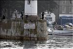 Belle Ile, port du Palais_02.jpg