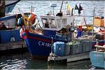 20080619_Cherbourg_008 (1).jpg