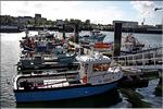 20080619_Cherbourg_012 (1).jpg