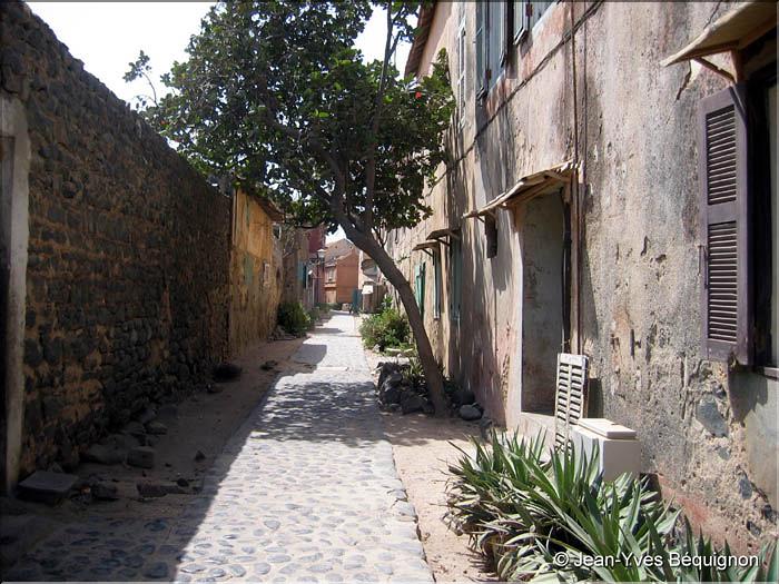 SENEGAL_Ile de Gorée__07.jpg