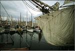 Paimpol et alentours-3.jpg
