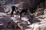 Jordanie_Petra__08.jpg