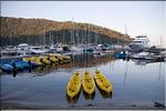 Port Cros-4.jpg
