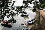 20070509_Sereine VV_200.jpg