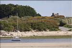 20090417_Estuaire Horn_06.jpg