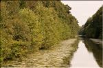 20060822_croisiere fluviale_036.jpg