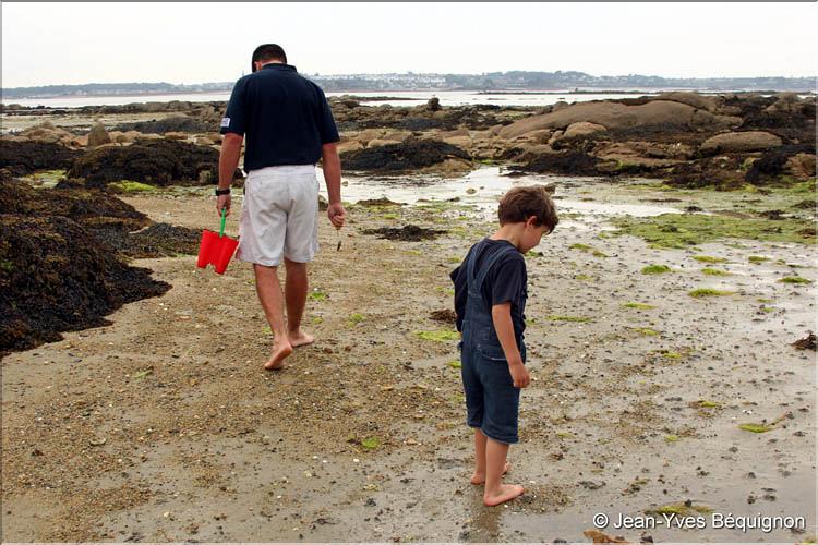 Ile Callot_06.jpg