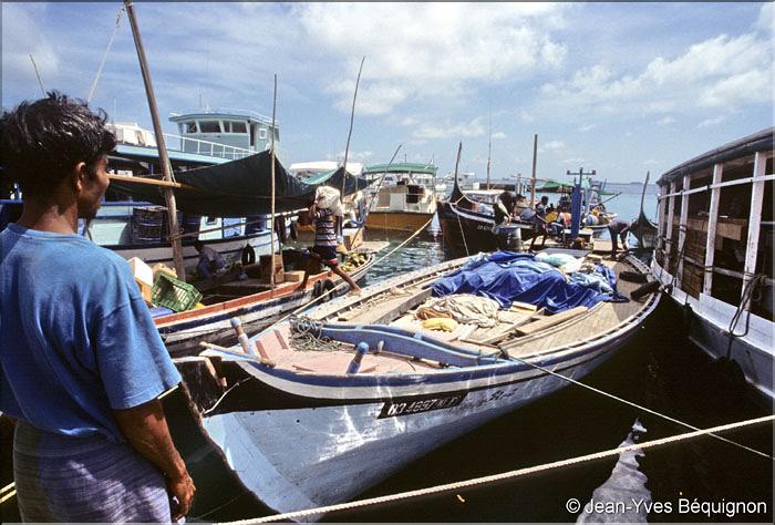 Escale aux Maldives_05.jpg