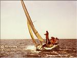 1976 cavale dans le lagon.jpg