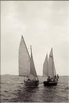 1981 cotre et dogre archipel des glenans.jpg