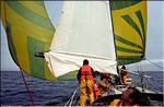 1985 Palynodie 08.jpg