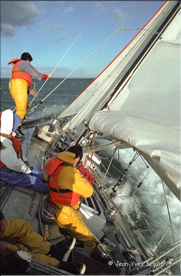 1985 Palynodie 10.jpg