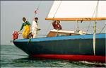 1990 Sereine 03.jpg