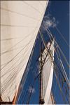 20071106_ETL_017.jpg