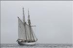 20060710_TSR_009.jpg