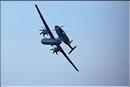 JYB Photos_1830