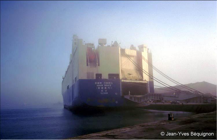 Dubai_port de commerce_2.jpg