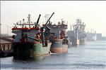 Dubai_port de commerce_5.jpg