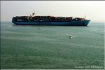 Porte conteneurs_canal de Suez_2.jpg