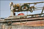 Sur_sultanat Oman_boutre 3.jpg