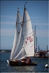 090522_JYB_IMG_4851.jpg