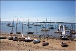 090522_JYB_IMG_4945.jpg