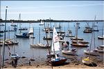 090522_JYB_IMG_4947.jpg