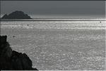 20040825-163_6366.jpg