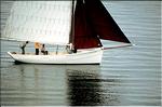 20050918-Douarnenez 2002044.jpg