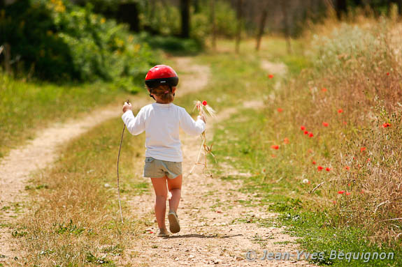 Coquelicot